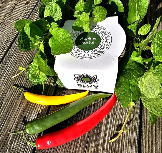 Lietuviškos dovanos, suvenyrai ir patriotikos atributika